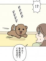 �w�}���͎q���B�x(C)mojo/LINE Digital Frontier 