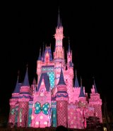 �V���f�����邪�~�j�[�ɐ��܂�! TDL�w�~�j�[�~�p���p���x�œ��ʉ��o�u�t�@���_�[�i�C�g�v���{ 