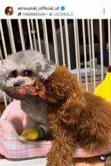 ��؈����u���͍�N�̏t���ɁA�����ɉƑ�������1�l�����Ăāv(�ʐ^�̓C���X�^�O���� @airisuzuki_official_uf ���) 