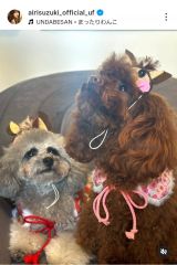 ��؈����u���͍�N�̏t���ɁA�����ɉƑ�������1�l�����Ăāv(�ʐ^�̓C���X�^�O���� @airisuzuki_official_uf ���) 