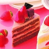 䕂̃v���~�A���`���R�V���[�g 