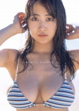 ���䗜仉؁A���{�f�B�S�J�̐����O���r�A �z�ʐς����Ȃ߃V���b�g�ȂǑ��X 