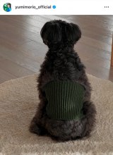 �X���R������I�����A�����̂��̎�҂݃A�C�e�� (�ʐ^�̓C���X�^�O���� @yumimorio_official ���) 