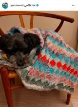 �X���R������I�����A�����̂��̎�҂݃A�C�e�� (�ʐ^�̓C���X�^�O���� @yumimorio_official ���) 