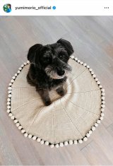 �X���R���u�o���܂����[ �o����t�����u�����P�b�g�v (�ʐ^�̓C���X�^�O���� @yumimorio_official ���) 