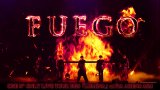 ONE N' ONLY�A���̃A���[�i�����uFUEGO�v���C�u�f�������J 