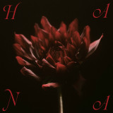 �A���o���wHANA�x�W���P�b�g(�z�M) 