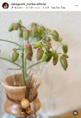 ���z�T�q�u���F�B�̒a�����ɃI�V�����J�t�F�Ŋ��t���v (�ʐ^�̓C���X�^�O���� @nakagoshi_noriko.official ���) 