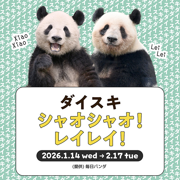 坂道関連 まとめ売り 画像・写真 | 「松坂屋上野店」で人気の“パンダフード”たちが
