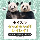 �u�_�C�X�L �V���I�V���I!���C���C!�v 