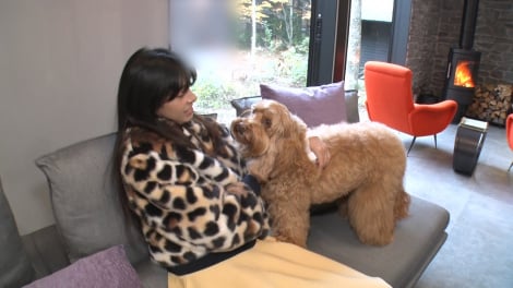 20�������w�v���`�i�t�@�~���[���Ηj�̗Ǐ��F���Y ����SP�x�iC�j�e���r���� 