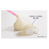 27�����o��w���ጩ�����ӂ��x 