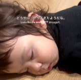 ��D���ȐH�ו�����Ɂc�L�b�`���ŐQ��������1�΃n�[�t�����̎p��120����Đ��u�d�r�؂��v�u���������ł��ˁv 