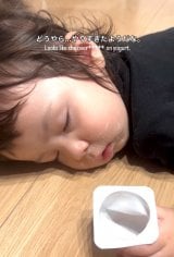 ��D���ȐH�ו�����Ɏ����Q��������1�Ύ�(Instagram/@vivichan_mama���) 