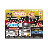 �u���b�N�L���b�v 12�� 