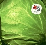 DREAMS COME TRUE�u���x�ł��v(������:���j�o�[�T���~���[�W�b�N/2015�N7��7���z�M�J�n) 