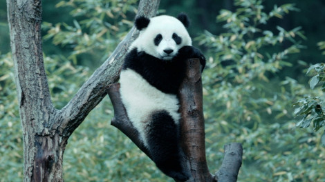 �h�L�������^���[�f��w�p���_�̂��������E�x�i2��6�����S���������J�j 