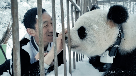 �h�L�������^���[�f��w�p���_�̂��������E�x�i2��6�����S���������J�j 