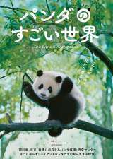 �h�L�������^���[�f��w�p���_�̂��������E�x�i2��6�����S���������J�j�e�B�U�[�r�W���A�� 