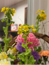 �x�����݁u���ւ̚₢���̂��ԁv�u�����Ɏ��X�ƍ炫�n�߂܂����v(�ʐ^�̓u���O���) 