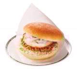 �w��p�~���`�̃R���h���o�[�K�[�x 