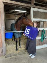 �F�萰����X��� 