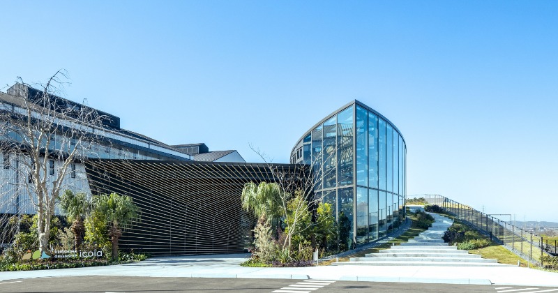 スタバ、霧島酒造との“新施設”宮崎県に1・27オープン 「いこいの時間」テーマに植物園など併設、建築は隈研吾氏