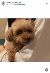 �X�����u�O�����s���O���Ă��܂������v�i�ʐ^�̓C���X�^�O���� @mori_kasumi_ ���j 