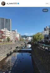 ���������u�q�������ƈꏏ�ɓ��{�S���̓s���{�������闷���n�߂܂����v�u���e�͋�B����v(�ʐ^�̓C���X�^�O���� @ai_kato1212 ���) 