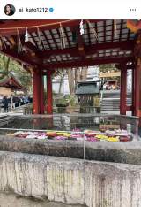 ���������u�q�������ƈꏏ�ɓ��{�S���̓s���{�������闷���n�߂܂����v�u���e�͋�B����v(�ʐ^�̓C���X�^�O���� @ai_kato1212 ���) 