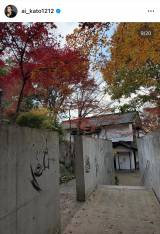 ���������u�q�������ƈꏏ�ɓ��{�S���̓s���{�������闷���n�߂܂����v�u���e�͋�B����v(�ʐ^�̓C���X�^�O���� @ai_kato1212 ���) 