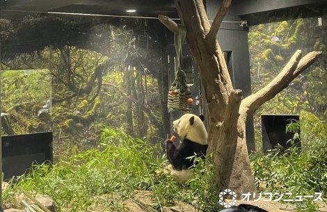 �����ɕԊ҂����V���I�V���I �iC�jORICON NewS inc. 