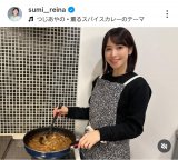 �h����ށu���������J���[�̎ʐ^���v(�ʐ^�̓C���X�^�O���� @sumi__reina ���) 