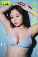 ���삽�܂�(C)������/�T��FLASH �ʐ^�����؋M�� 