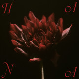 �z�M�V���O���uCold Night�v�W���P�b�g 