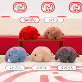 C�� �}�X�R�b�g�R���N�V���� 