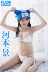 �͖{�i(C)������/�T��FLASH �ʐ^���K���q�P 