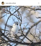 ���M���q�u�k�C������(�B�e)�ɍs���Ă��܂���!�v(�ʐ^�̓C���X�^�O���� @isono_kiriko_official ���) 