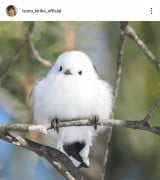 ���M���q�u�k�C������(�B�e)�ɍs���Ă��܂���!�v(�ʐ^�̓C���X�^�O���� @isono_kiriko_official ���) 