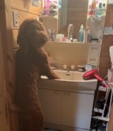 �l�C�P�Ă�? ���ʑ�Őg�����Ȃ݃`�F�b�N������g�X�^���h�A�b�v�v�[�h���h�Ɂu���ɐl�ԓ����Ă邩�Ǝv�����v�u�X�L���E�H�[�J�[�����v 