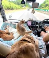 �L�����s���O�J�[�őS���𗷂��郏���j��������(TikTok/@akiomonk���) 