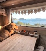 �L�����s���O�J�[�őS���𗷂��郏���j��������(TikTok/@akiomonk���) 