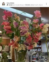 �����o�q�u�����X�C�g�s�[ ���肪�Ƃ��`�v(�ʐ^�̓C���X�^�O���� @hara_hideko ���) 