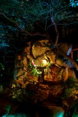 �V�܍��������u��������v�F�ʂƉ��̂����ĂȂ��w���r(���݂���)�x���J�n 