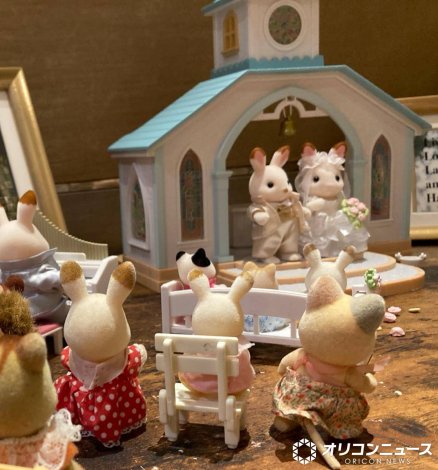 �V���o�j�A�t�@�~���[ 