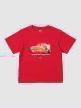 484213_146N121B_16_A010_G 