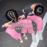 ���j�N�������ǁA�l�Ɠ����̓C���c��2�j�q�́g�s���N���߁h��ꂪ�S�̓T�|�[�g�u�e�𗊂��Ă���邤���͈ꏏ�Ɋy���݂����v 