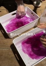 �s���N�̕������āA�����̏����i@173ayu���j 