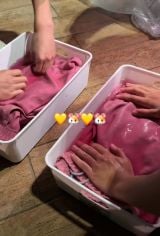 �s���N���ɒЂ����ށi@173ayu���j 