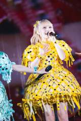 �����m�G�� �ʐ^:���V�������E�i�A�X�D�O�A���c���A�n�^�T�g�V�A�㓡�s���Y�A����� 